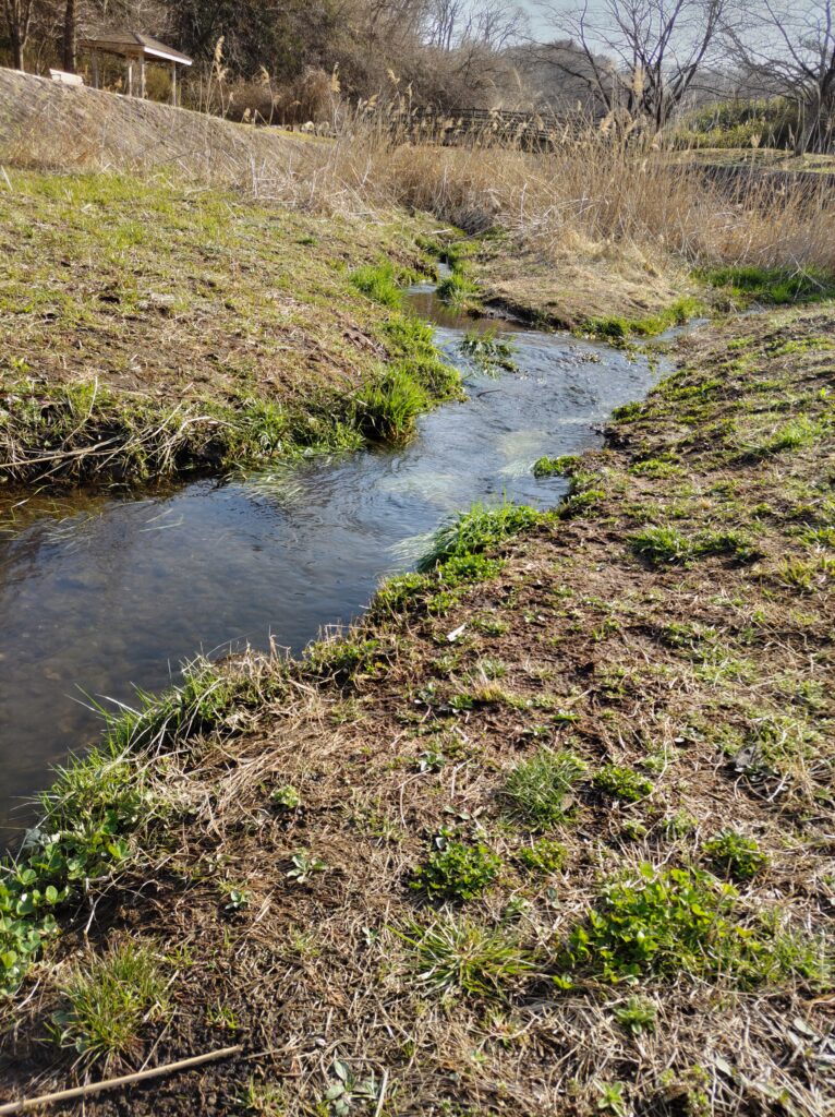 ガサガサに適した浅くてきれいな小川の画像